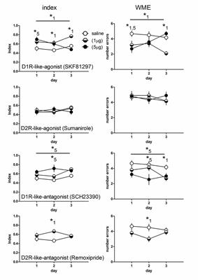 Spatial Working Memory in Male Rats: Pre-Experience and Task Dependent Roles of Dopamine D1- and D2-Like Receptors